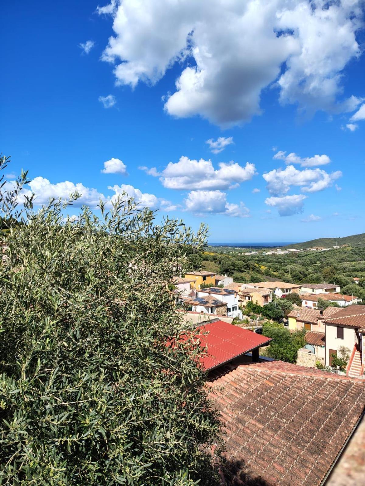 Apartment Il Nido 1 Di San Pietro
